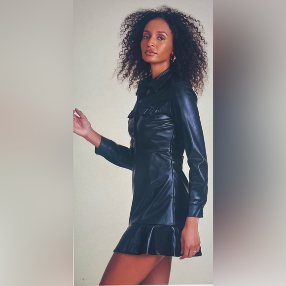 THE SHIRT BY ROCHELLE BEHRENS THE LEATHER DRESS NWT Medium - Picture 2 of 11